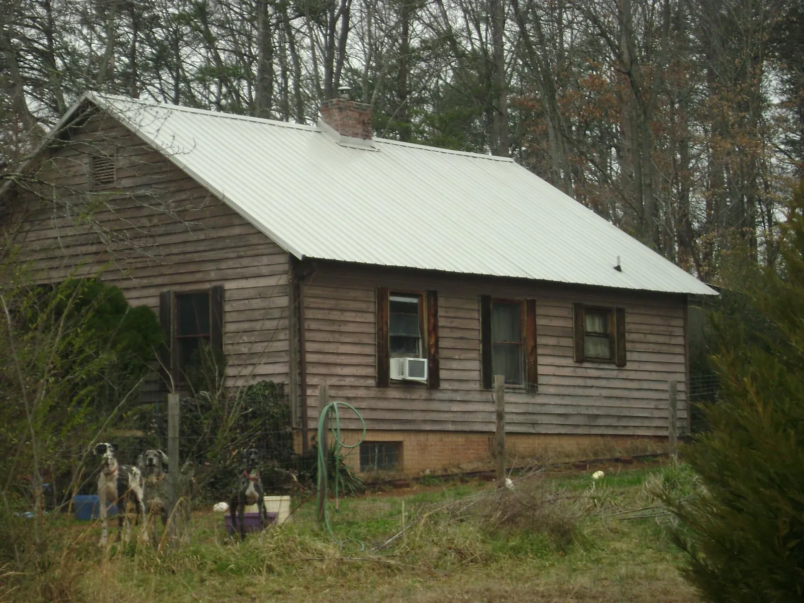 White metal roof on an old wood sided farmhouse, from a Asphalt Shingle Roof Repair job in Lapaz
